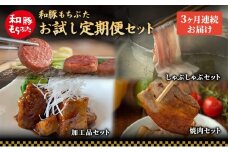 【定期便3回】和豚 もちぶた お試しセット 3ヶ月連続 こだわりのちょっと贅沢 ソーセージ 角煮 もち豚 豚肉 ポーク 肉 豚 ぶた ブタ 豚ロース 加工肉 レトルト レトルト食品 加工肉 アウトドア キャンプ バーベキュー