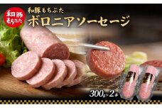 和豚 もちぶた ボロニアソーセージ 300g×2本 和豚 もち豚 豚肉 ポーク お肉 肉 豚 ぶた ブタ 加工肉 アウトドア