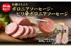 和豚 もちぶた ボロニア ピリ辛ボロニアソーセージセット 各1本 和豚 もち豚 豚肉 ポーク お肉 ピリ辛 肉 豚 ぶた ブタ 加工肉 アウトドア