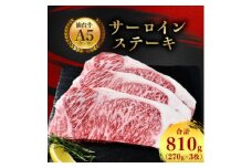 ＜A5仙台牛＞サーロインステーキ 810g(270g×3枚)【1206295】