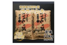 令和6年産 ササニシキ 玄米10kg(5kg×2) 宮城県村田町産【1217476】