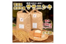 令和5年宮城県産 ササニシキ 精米10kg(5kg×2袋)＜村田町産＞【1259870】