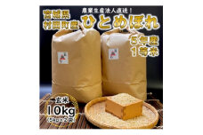 令和5年宮城県産 ひとめぼれ 玄米10kg(5kg×2袋)＜村田町産＞【1259869】