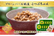 ＜全国納豆鑑評会受賞＞グリーンパール納豆 こつぶちゃん 10袋　(1袋45g×2食入)【1277214】