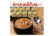 むらた85(発酵)カレーセット(200g×10個)【1422795】