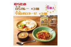 むらた85(発酵)カレー、むらた710(納豆)ボロネーゼ セット(200g×計6個)【1422841】