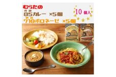 むらた85(発酵)カレー、むらた710(納豆)ボロネーゼ セット(200g×計10個)【1422847】