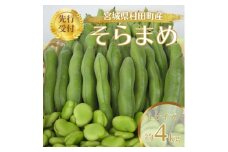＜先行受付2025年＞そらまめ 約4kg Lサイズ 宮城県村田町産【1451277】