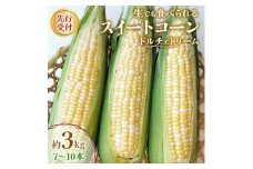 ＜先行受付2025年＞とうもろこし　ドルチェドリーム　約3.0kg　数量限定【1451276】