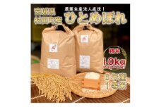 令和6年宮城県産 ひとめぼれ 精米10kg(5kg×2袋)＜村田町産＞【1547152】