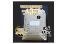 令和6年産 つや姫 玄米10kg(10kg×1) 宮城県村田町産【1576563】