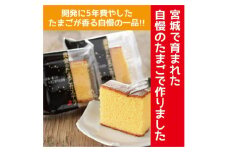黄金のたまごカステラ12個ギフト【1600538】