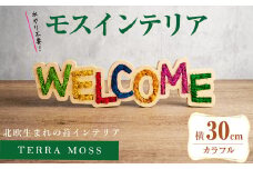 モスインテリア「WELCOME」(カラフル) ＜横300mm・高さ80mm・幅15m＞ 観葉植物  苔 コケ テラモス インテリア 植物 【結び】 sh027-B
