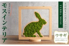 モスインテリア「ウサギ」(スプリンググリーン) ＜横200mm・高さ200mm・幅15mm＞ 観葉植物  苔 コケ テラモス インテリア 植物 【結び】 sh029-A
