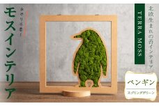 モスインテリア「ペンギン」(スプリンググリーン) ＜横200mm・高さ200mm・幅15mm＞ 観葉植物  苔 コケ テラモス インテリア 植物 【結び】 sh030-A