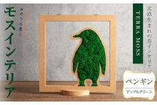 モスインテリア「ペンギン」(アップルグリーン) ＜横200mm・高さ200mm・幅15mm＞ 観葉植物  苔 コケ テラモス インテリア 植物 【結び】 sh030-B