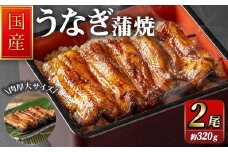 職人手焼き 国産うなぎ蒲焼 約160ｇ×2尾 肉厚 大サイズ 特大 鰻 ウナギ 蒲焼き 【逢隈亭】sh127