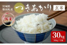 【令和7年産 新米】つきあかり 玄米 30kg 柴田町産 お米 おこめ 米 コメ ご飯 ごはん おにぎり お弁当 【農事組合法人桜花爛漫】sh126