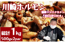 ［濃厚ニンニク生タレ『甘口／辛口付き』］川崎ホルモン総計1kg（500g×2p）　【04324-0263】