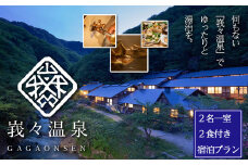 【日本三大胃腸病の名湯】峩々温泉　2名一室2食付き宿泊プラン　【04324-0286】