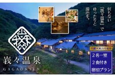 【日本三大胃腸病の名湯】峩々温泉　2名一室2食付き　半露天風呂付客室宿泊プラン　【04324-0289】