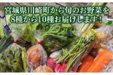 宮城県川崎町から旬のお野菜を8種から10種お届けします！　【04324-0317】