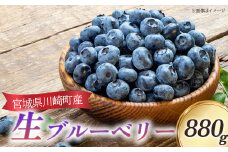 びいなすふぁあむ　生ブルーベリー　220g×4パック/計880g　【04324-0345】