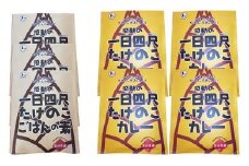 【丸森町特産】 たけのこカレー4個とたけのこご飯のもと 3個【08108】