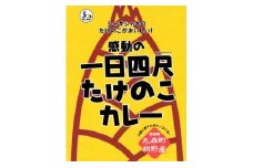 【丸森町特産】 たけのこカレー5個【08109】