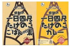 【丸森町特産】 たけのこカレー3個とたけのこご飯のもと2個【08110】