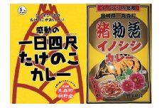 【丸森町特産】 たけのこカレー2個といのししカレー2個【08111】