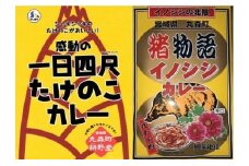 【丸森町特産】 たけのこカレー2個といのししカレー2個【08111】