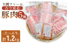 【古今東北】 丸森町大槻ファーム 豚肉5種類セット(計1.2kg） 丸森町 古今東北 大槻ファーム 豚肉セット 1.2kg SPF豚 しもふりレッド　焼き肉 豚しゃぶ 生姜焼き 味付けホルモン 辛味噌ホルモン にんにくネギ塩ホルモン 古今東北 丸森　ふるさと納税【30101】