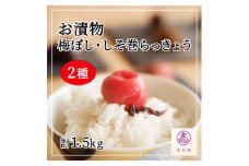 大満足 お漬物2種セット 梅干し 梅ぼし しそ巻らっきょう 食べ比べ お漬物 【02102】
