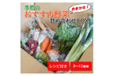 季節のおすすめ野菜おまかせ詰め合わせBOX 8種〜12種類 通常サイズ 野菜セット 15000円【16101】