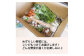 季節のおすすめ野菜おまかせ詰め合わせBOX 8種〜12種類 通常サイズ 野菜セット【16001】