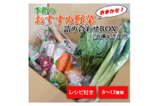 季節のおすすめ野菜おまかせ詰め合わせBOX 8種～12種類 大満足サイズ 野菜セット【16102】