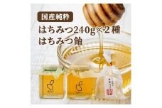 耕野のはちみつ 240g×2本セット 栃のはちみつ飴付き｜耕野のはちみつ はちみつ ハチミツ とち 里山の木々 国産 240g 2本 食べ比べ2種 食べ比べ セット はちみつ飴 飴 あめ アメ ふるさと納税 お取り寄せ 石塚養蜂園 宮城県 丸森町 丸森【2110101】