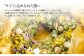 フラワーリース“モリ” 繭リース インテリア お花 花 【09013】