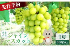 【2025年先行予約】《2025年10月上旬～11月下旬出荷》 宮城県丸森町産 シャインマスカット　1房(1房 600g以上)【48002】