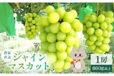 《2025年10月上旬～11月下旬出荷》 宮城県丸森町産 シャインマスカット　1房(1房 600g以上)【48002】