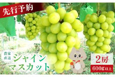 【2025年先行予約】　《2025年10月上旬～11月下旬出荷》 宮城県丸森町産 シャインマスカット　2房(1房 600g以上)　【48003】