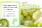 【2025年先行予約】　《2025年10月上旬～11月下旬出荷》 宮城県丸森町産 シャインマスカット　2房(1房 600g以上)