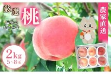 《7月中旬～9月中旬出荷》 宮城県丸森町産 桃 5～8玉（約2kg）【48004】