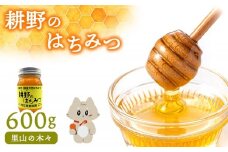 耕野のはちみつ『里山の木々』600g×1本 | 宮城県 丸森町 丸森 はちみつ 蜂蜜 国産 里山の木々 純粋  無添加 ハニー honey 600g 健康 美容　ふるさと納税【21112】