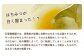 丸森町　耕野のはちみつ『夏の野草』600g×1本