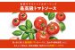 スーパー麺　中太麺　パスタ10食セット（麺10食＋トマトソース1本）