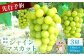 【2025年先行予約】　《2025年10月上旬～11月下旬出荷》 宮城県丸森町産 シャインマスカット　3房(1房 600g以上)