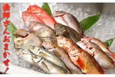 【光勝丸】漁師さんのおまかせ鮮魚セット