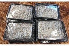 釜揚げしらす（冷凍）80g×8パック＜あらはま海苔＞